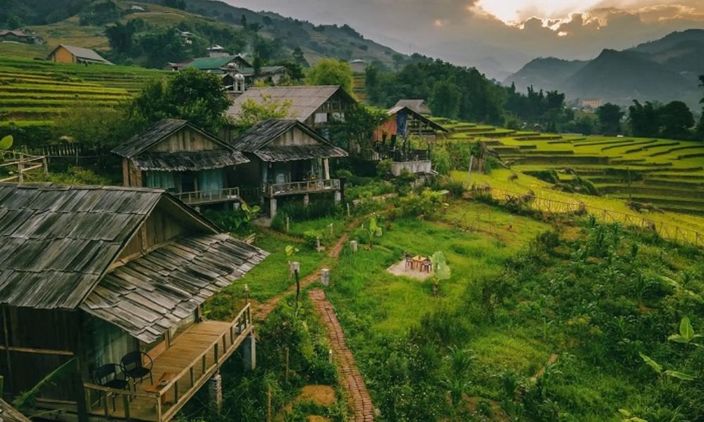 new-year-2026-vietnam-travel-guide